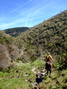 Spain-Central Spain-Sierra de la Demanda Ride